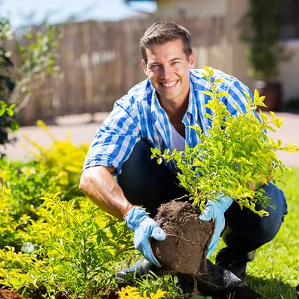 Maximise Your Garden'S Potential Offer