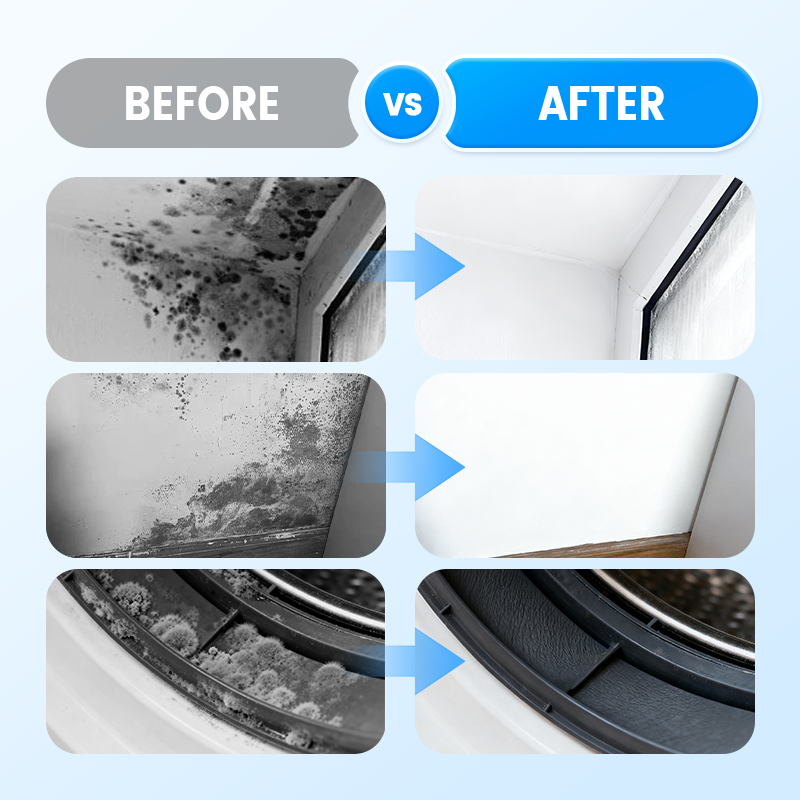 Highly Effective Mould Removal Spray Prevents Mould Regrowth