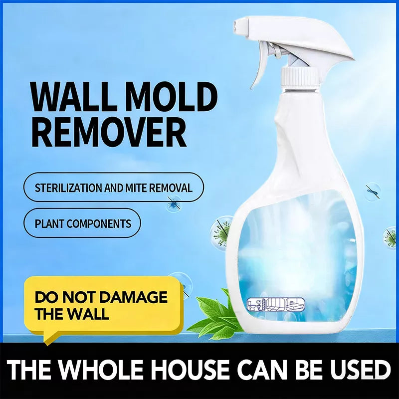 Highly Effective Mould Removal Spray Prevents Mould Regrowth