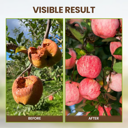 Maximise Your Garden'S Potential Offer