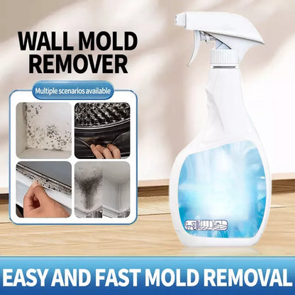 Highly Effective Mould Removal Spray Prevents Mould Regrowth