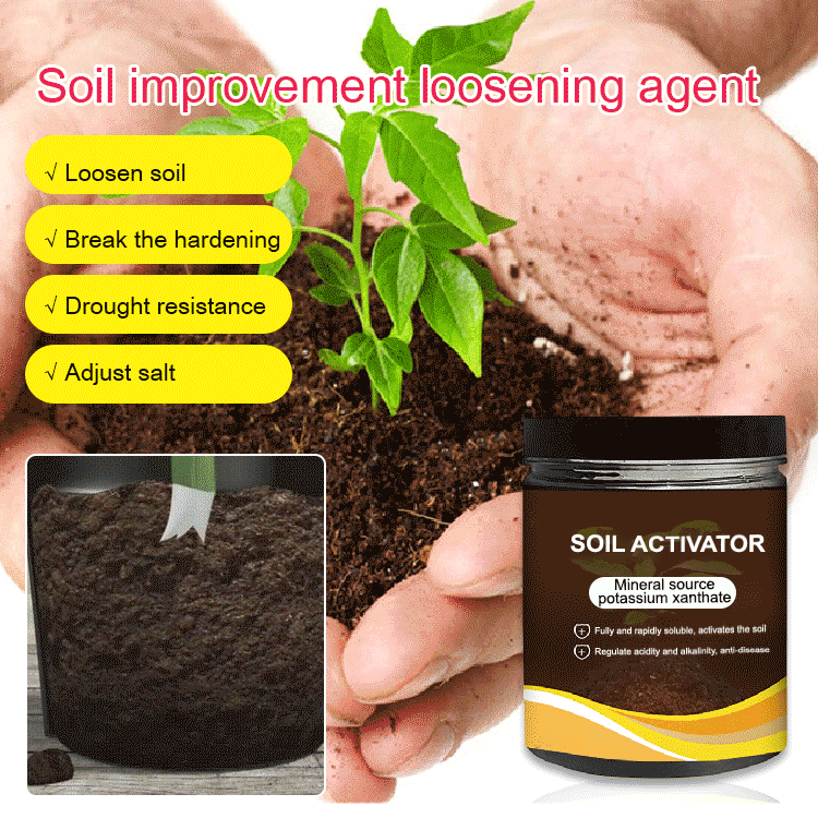 Maximise Your Garden'S Potential Offer