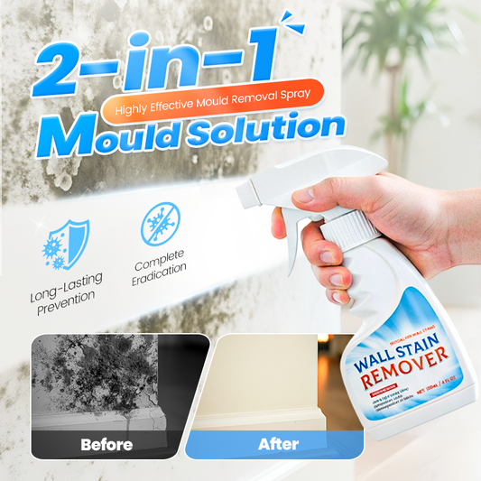 Highly Effective Mould Removal Spray Prevents Mould Regrowth