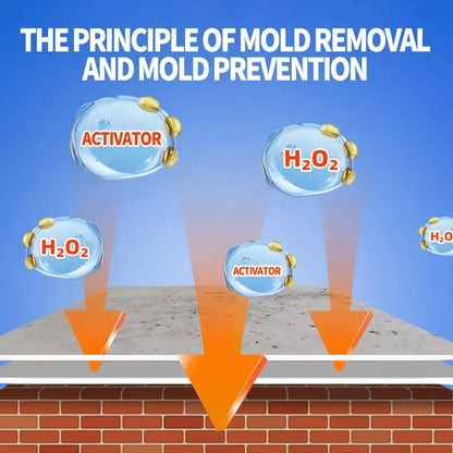 Highly Effective Mould Removal Spray Prevents Mould Regrowth