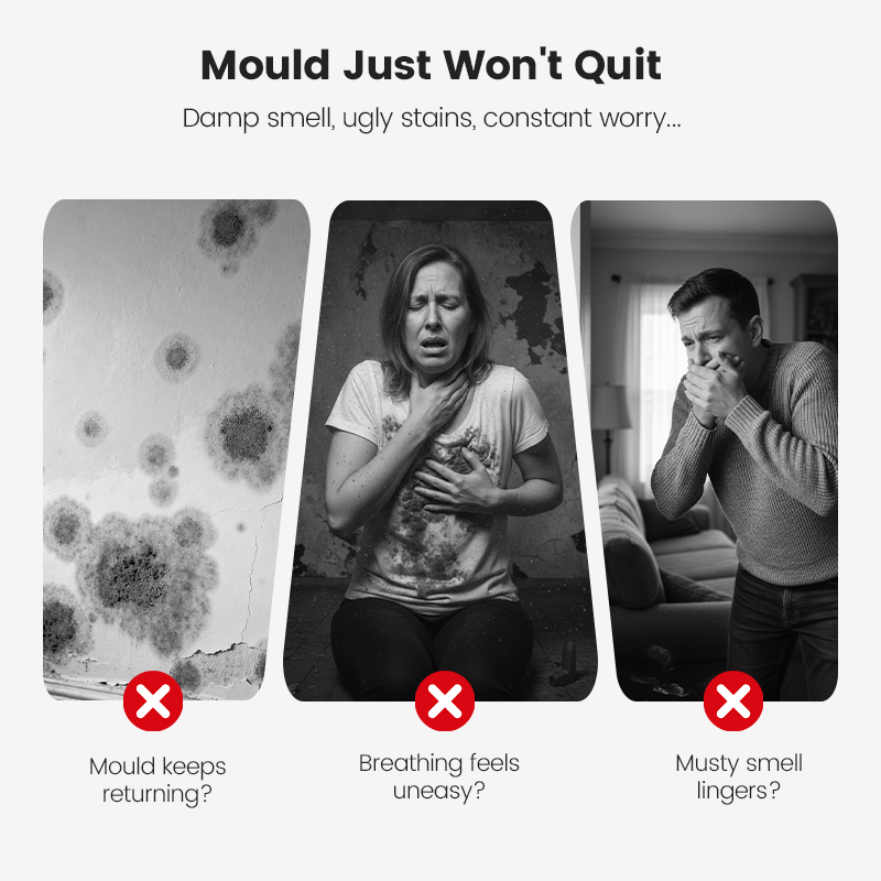 Highly Effective Mould Removal Spray Prevents Mould Regrowth