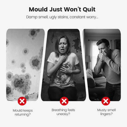 Highly Effective Mould Removal Spray Prevents Mould Regrowth