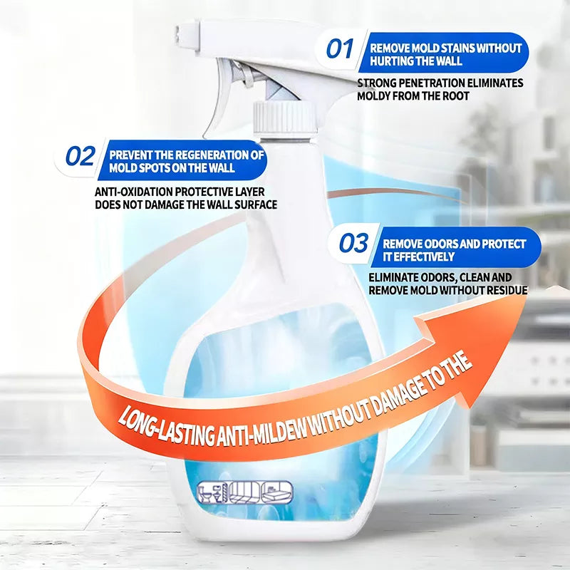Highly Effective Mould Removal Spray Prevents Mould Regrowth