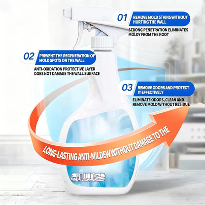 Highly Effective Mould Removal Spray Prevents Mould Regrowth