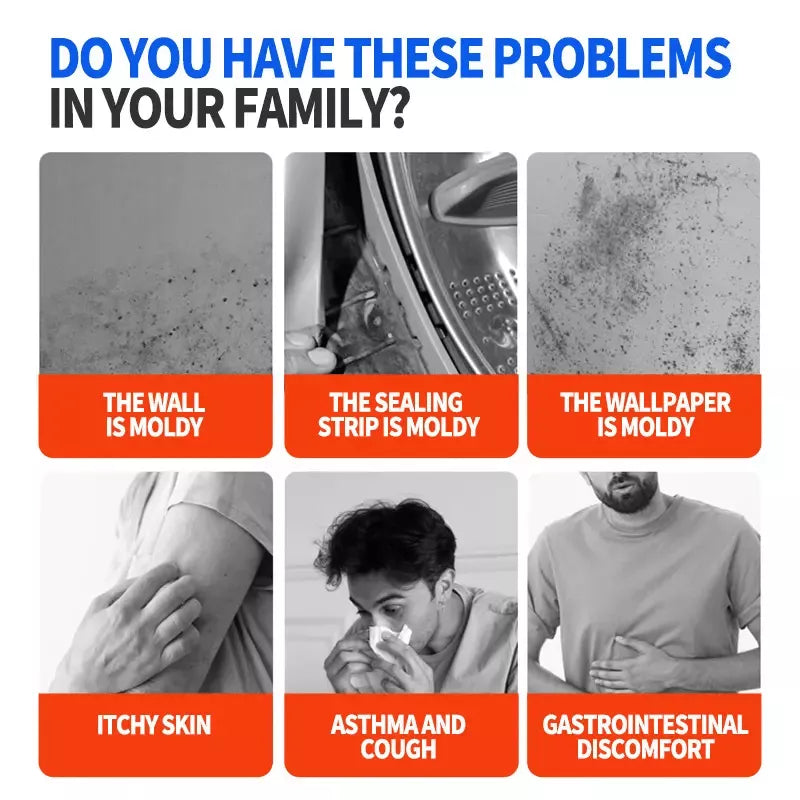 Highly Effective Mould Removal Spray Prevents Mould Regrowth