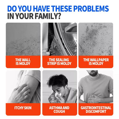 Highly Effective Mould Removal Spray Prevents Mould Regrowth