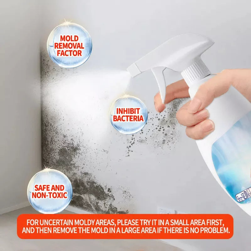 Highly Effective Mould Removal Spray Prevents Mould Regrowth