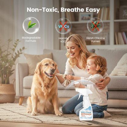 Highly Effective Mould Removal Spray Prevents Mould Regrowth