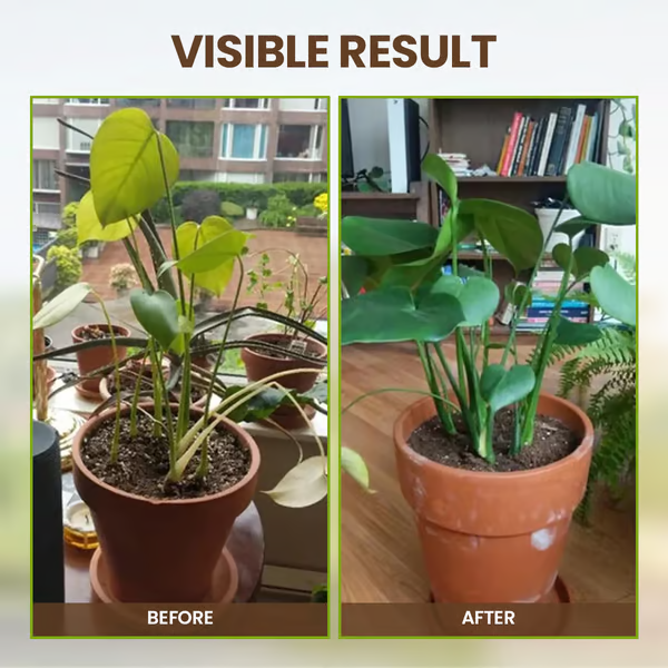 Maximise Your Garden'S Potential Offer