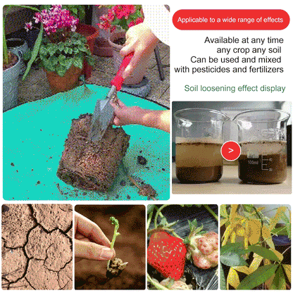 Maximise Your Garden'S Potential Offer